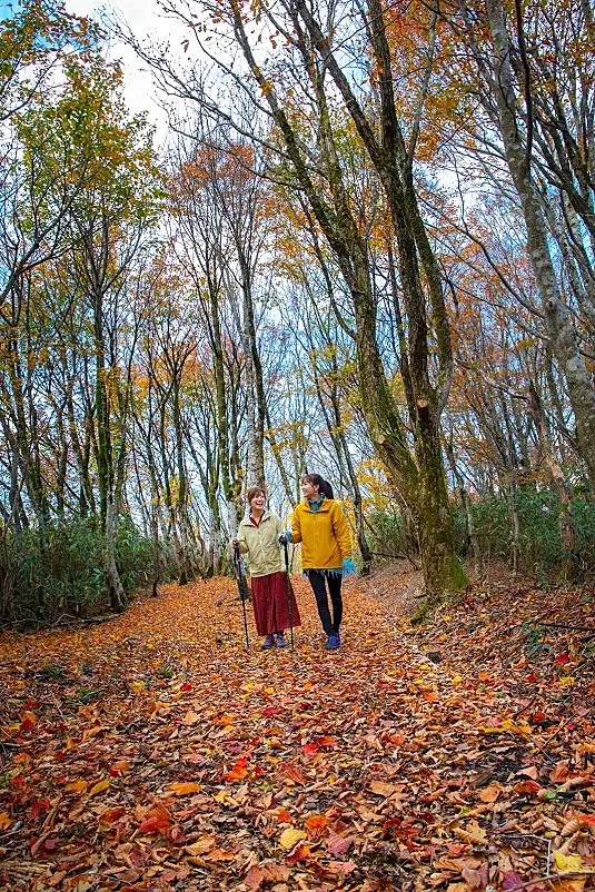 紅葉の中を歩く２人の女性