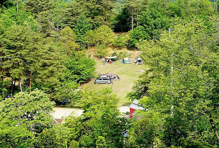新緑のキャンプ場
