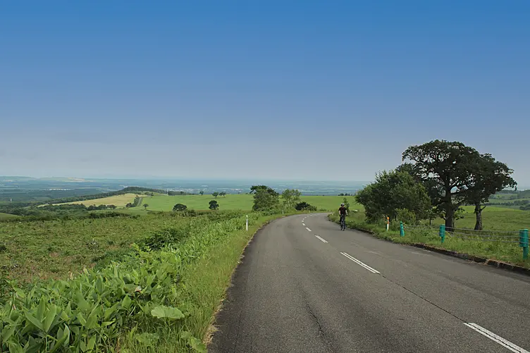 牧場の中の一本道