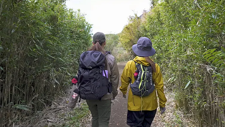 尾根道を進む登山者