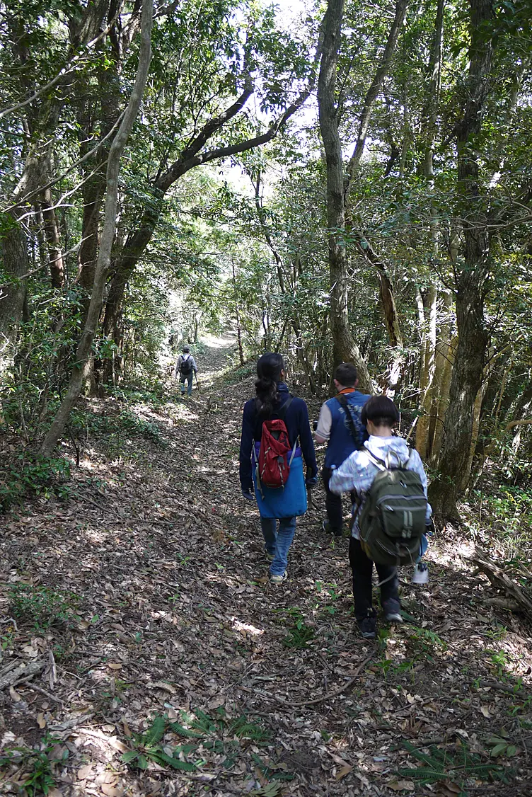 焼火山縦断ハイキングコース