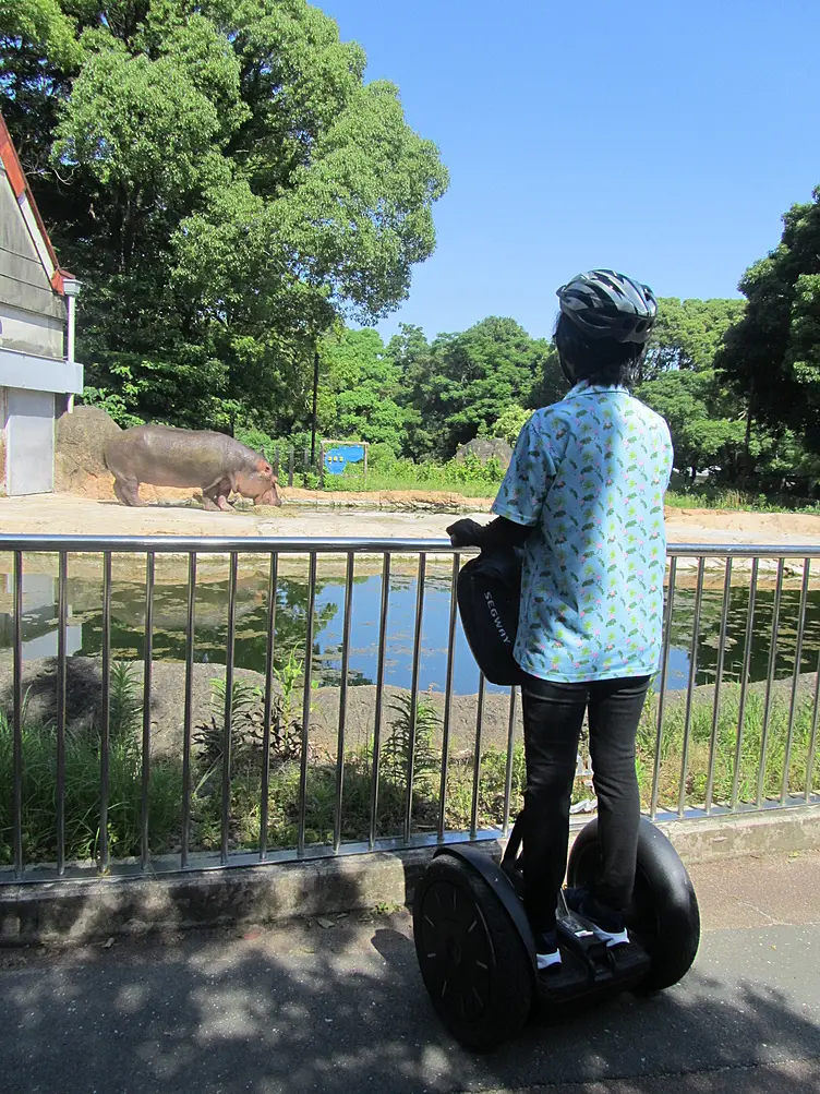 セグウェイに乗った人と園内の動物
