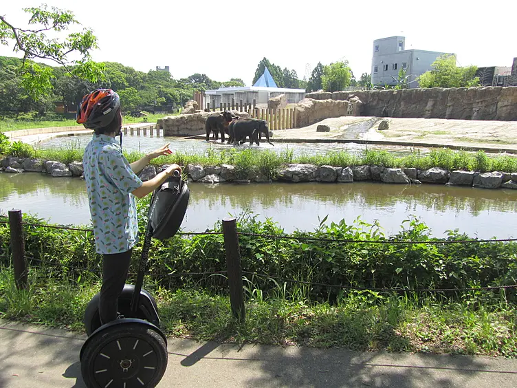セグウェイに乗った人と園内の動物