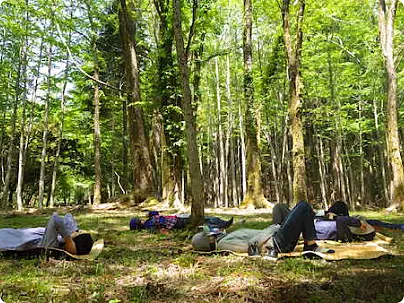 日差しの入る林床で横になる人々