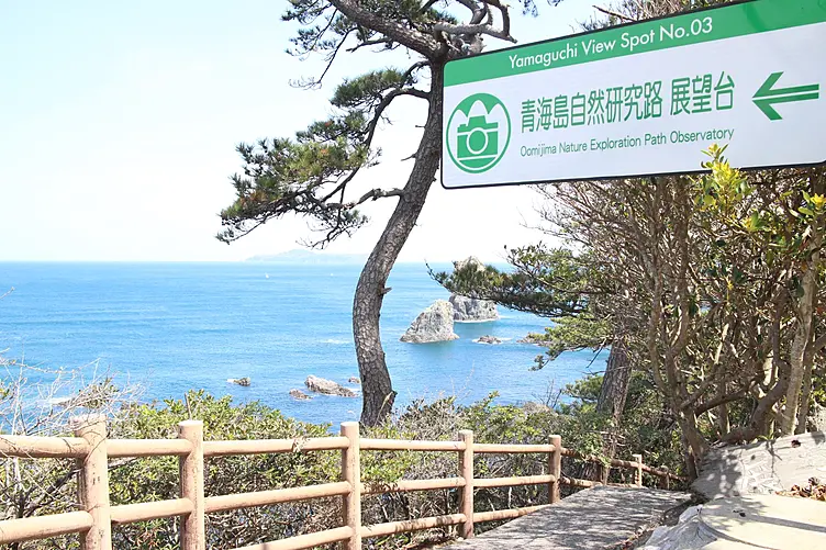 絶景ポイント　第1展望台へ