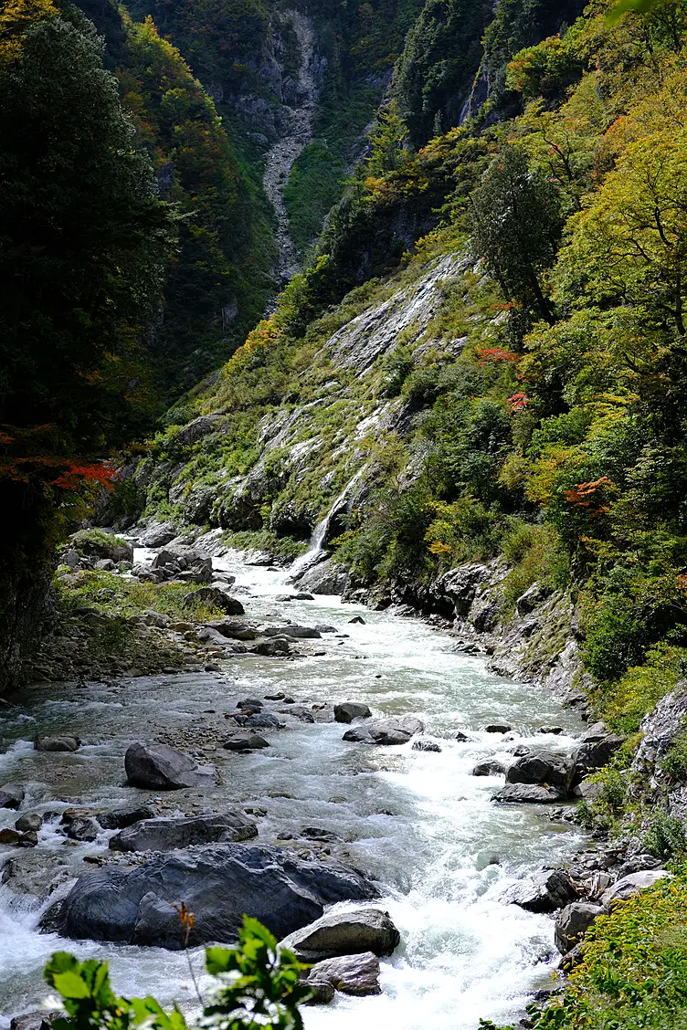 黒部ダム河床から見る紅葉と黒部川