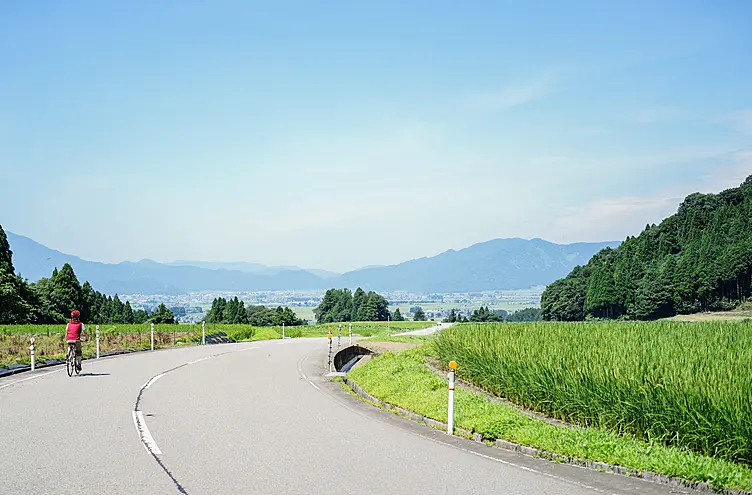 自転車で道を下る女性と、目の前に広がる大野市街地