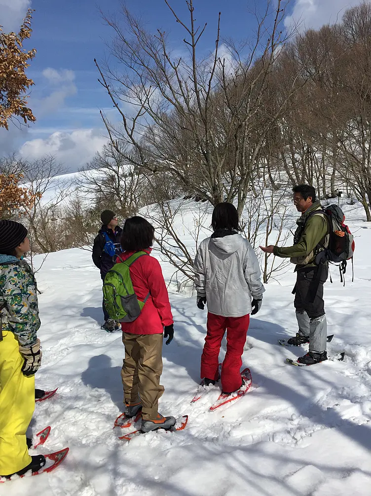 スノーシューで冬の森を散歩している