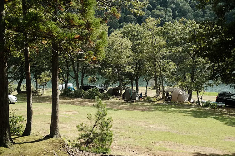 木々とテントが並んでいる、子どもたちが遊んでいる