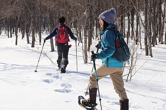 雪の積もった森の中をスノーシューする人たち