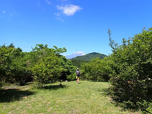 サンショウバラの丘から見る富士山