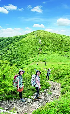 新緑の池の段