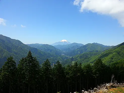 低山の向こうに見える富士山