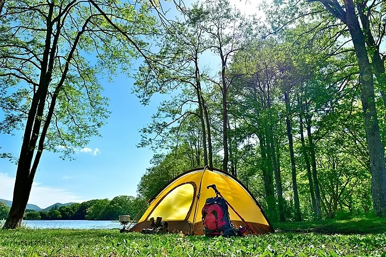 湖畔の森に設営された黄色いテント