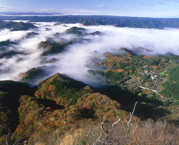 紅葉した木々と山頂