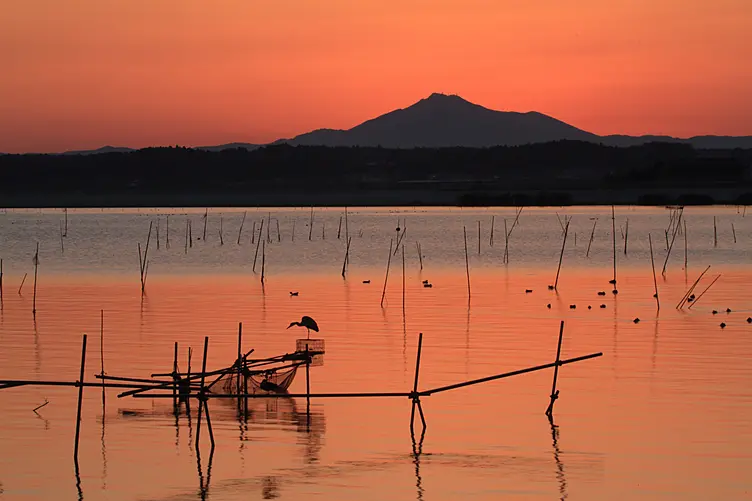 夕陽に染まる涸沼