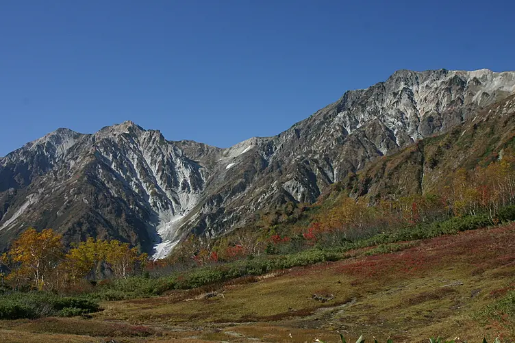 栂池自然園から見る秋の白馬岳