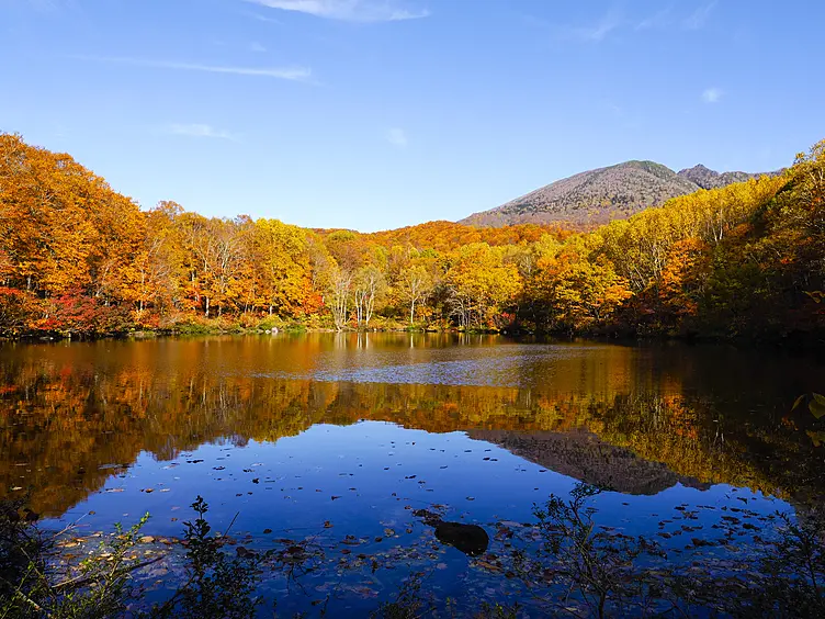 鮮やかな紅葉と湖面