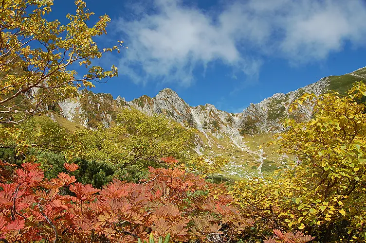 紅葉に染まる秋の千畳敷カール