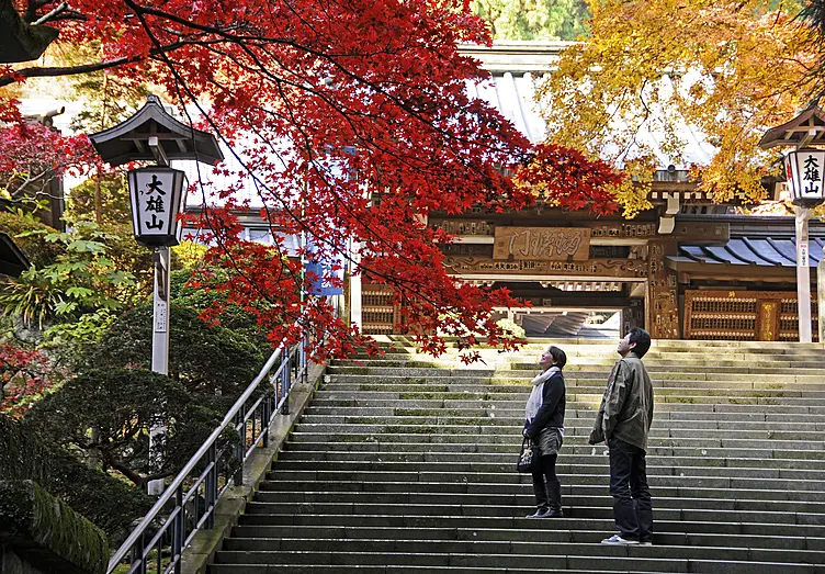 階段を登りながら紅葉を眺める二人