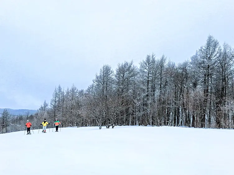 雪原をスノーシューで歩く３人の女性