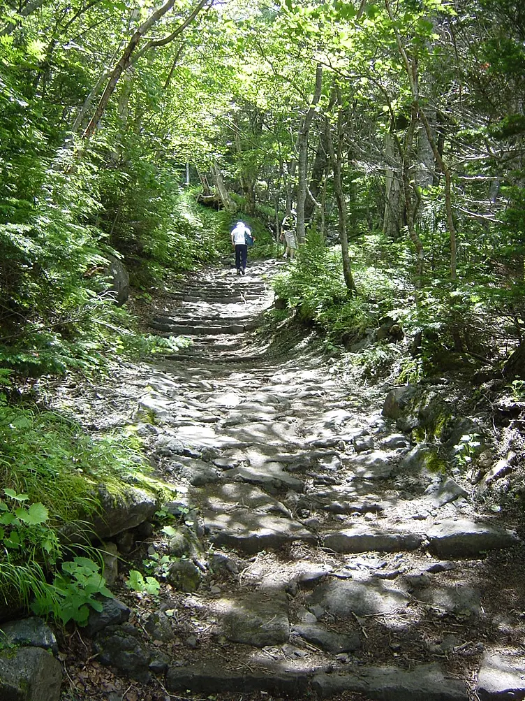 日の光が射し込む登山道