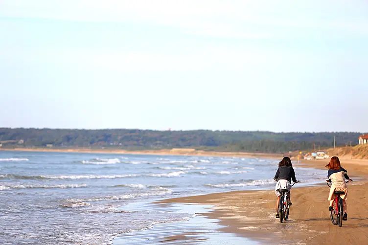 海岸線を2台の自転車が走る