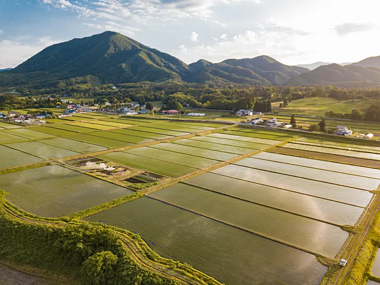 田園風景と山