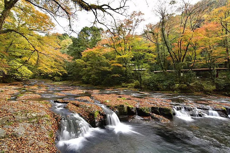 菊池渓谷　紅葉