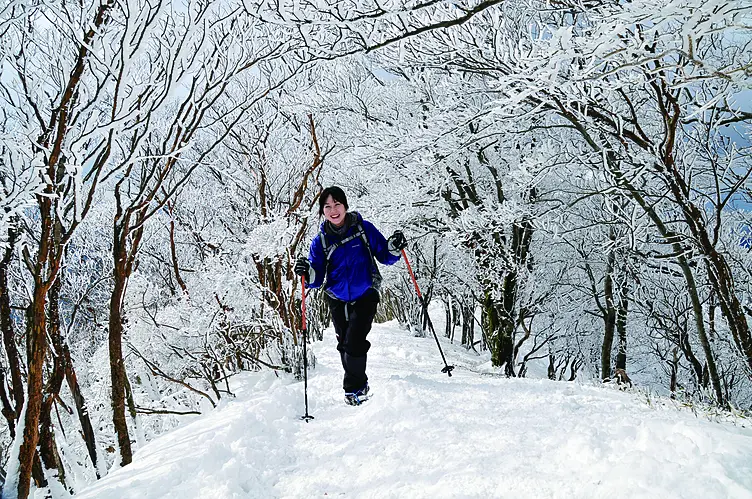霧氷の付いた木々の中をスノーシューで歩く女性