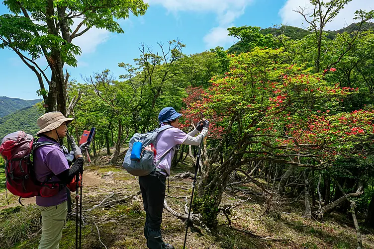 雨乞岳のエコツアーの途中の植生の写真を撮っている様子