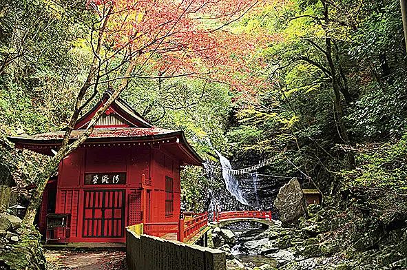犬鳴山が紅葉しているなか、七宝瀧寺の境内に赤い外壁の清瀧堂が川沿いに建ち、奥には行者の瀧が流れている