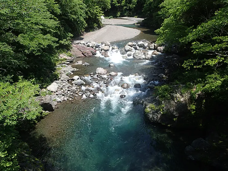 森の中を流れる清流