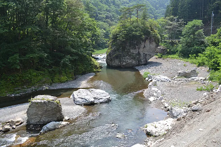 夏の美しい清流