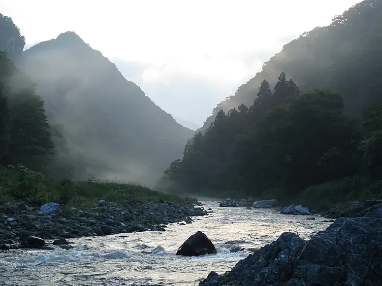 川に立ち込める霧