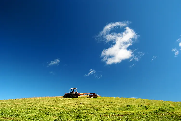 青空と緑の草原が広がる
