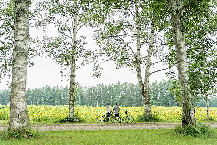 白樺並木の中自転車に乗る2人
