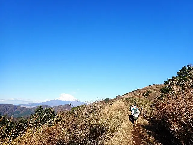すすきの稜線を歩く人