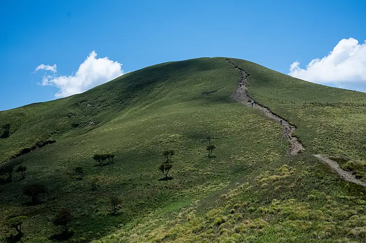 竜ヶ岳山頂付近