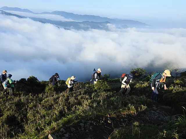 竜ヶ岳の登山のエコツアー中に見れた雲海