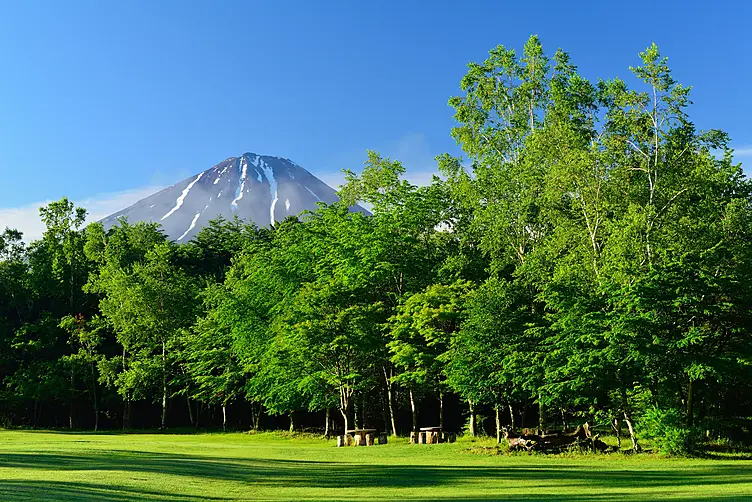 芝生広場と富士山