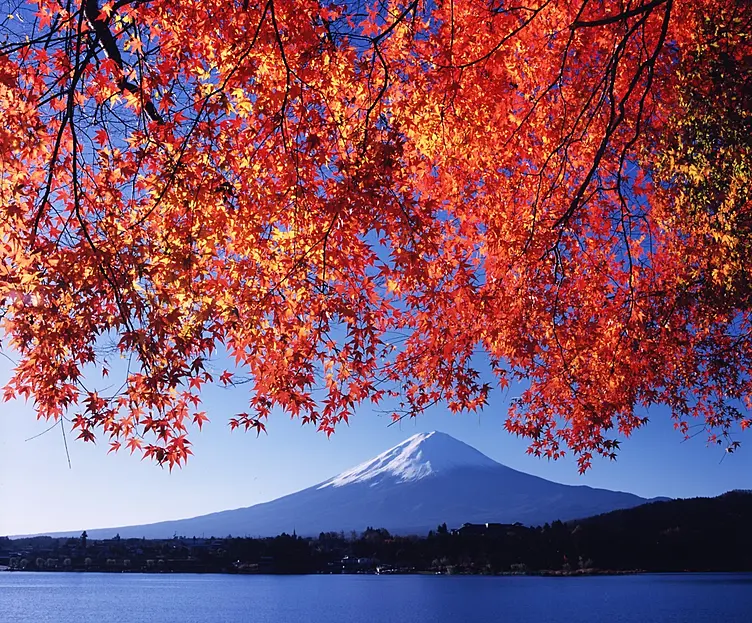 富士山と紅葉