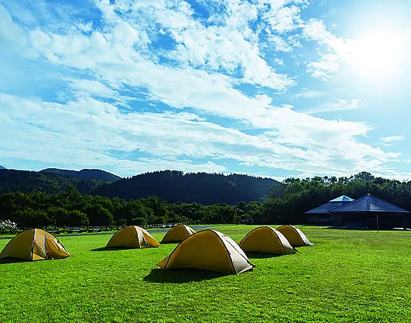 芝生の上に張ってある複数のテント