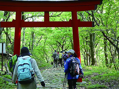 鳥居のある道をハイキングする人