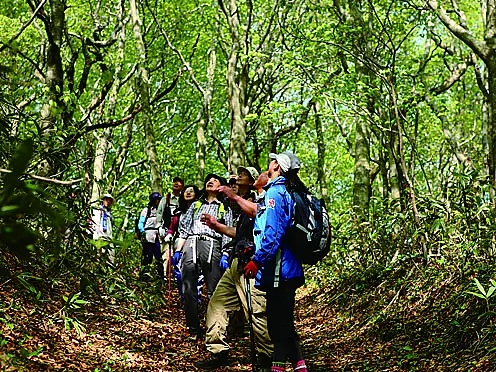 森の中をハイキングする人