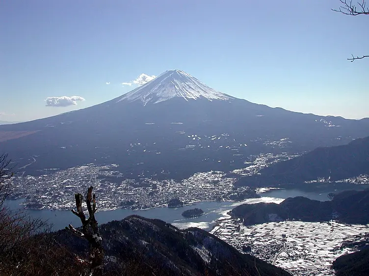 頂上付近の景色
