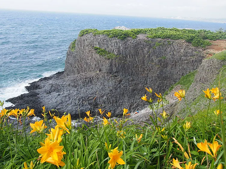 ニッコウキスゲの咲く津鼻崎