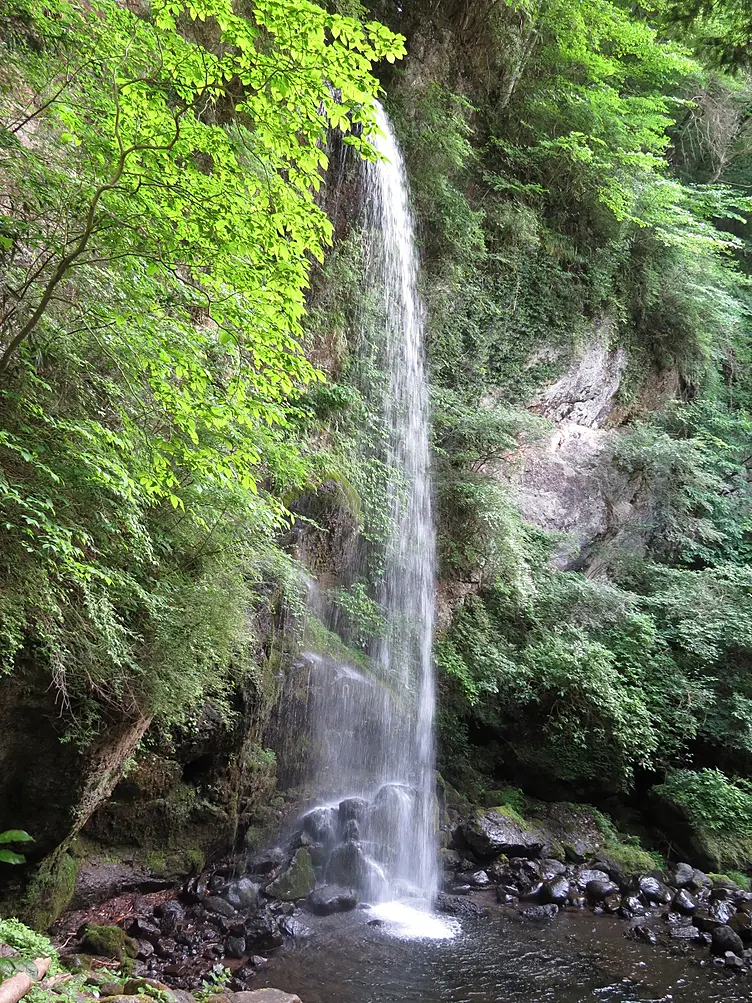 新緑の夕日の滝