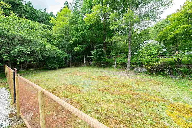 キャンプサイト