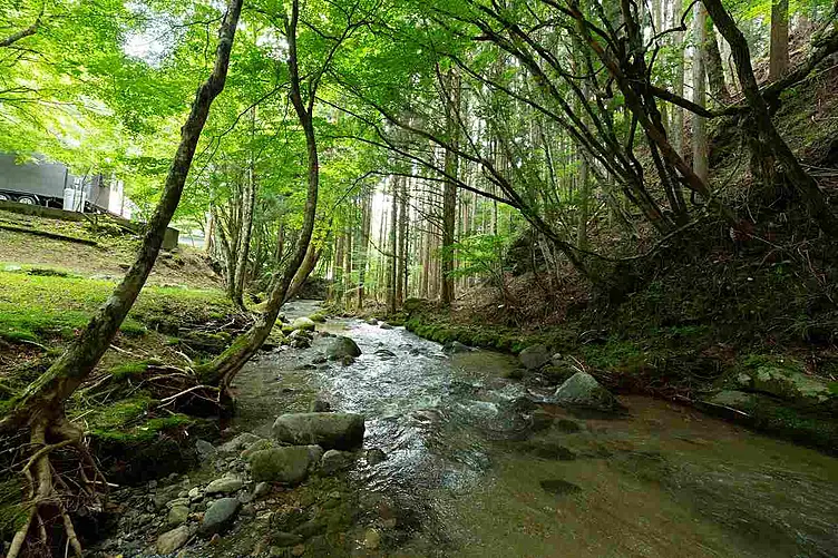 敷地内を流れる川